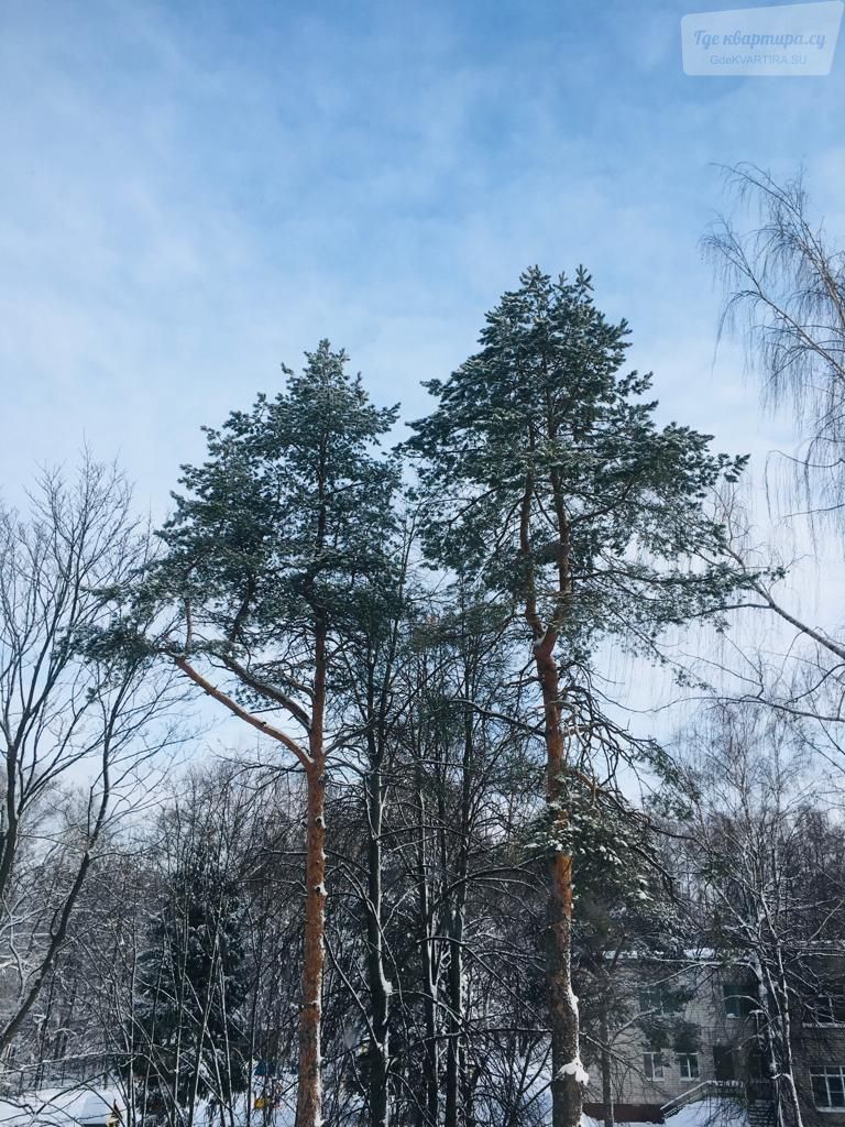 улица 40 лет Октября, 17А